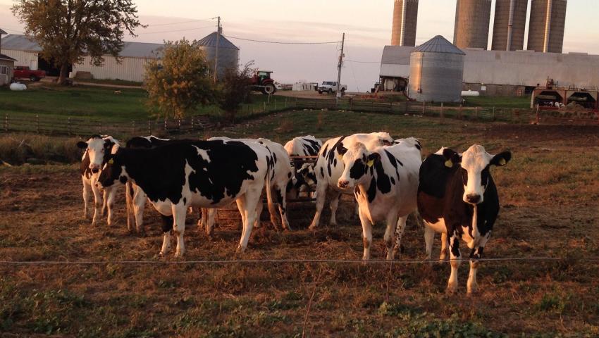 Farming & Dairy Training Program